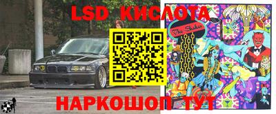 стаф Славгород
